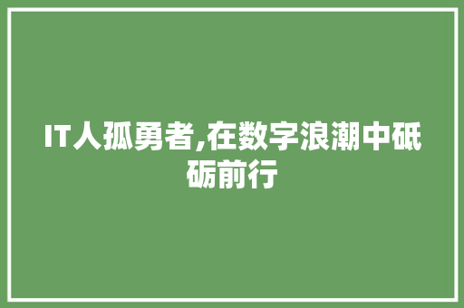 IT人孤勇者,在数字浪潮中砥砺前行
