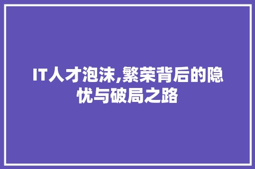IT人才泡沫,繁荣背后的隐忧与破局之路