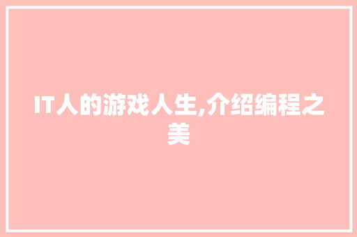 IT人的游戏人生,介绍编程之美