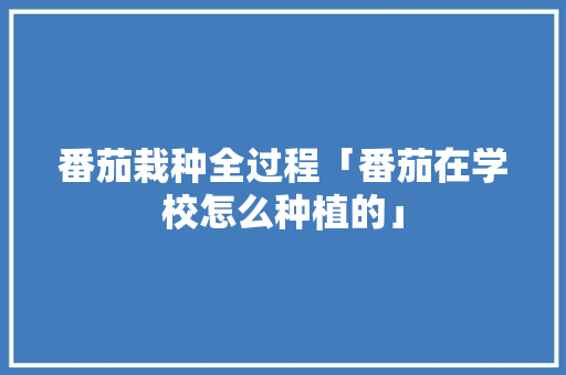 番茄栽种全过程「番茄在学校怎么种植的」 番茄栽种全过程「番茄在学校怎么种植的」 番茄病虫害防治