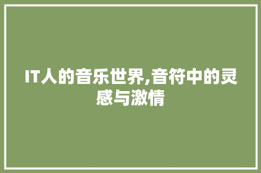 IT人的音乐世界,音符中的灵感与激情