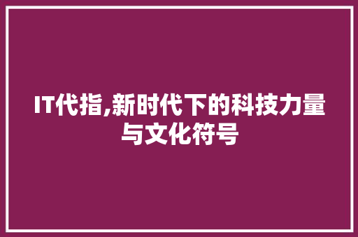 IT代指,新时代下的科技力量与文化符号