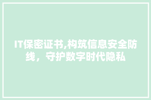 IT保密证书,构筑信息安全防线，守护数字时代隐私