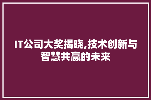 IT公司大奖揭晓,技术创新与智慧共赢的未来