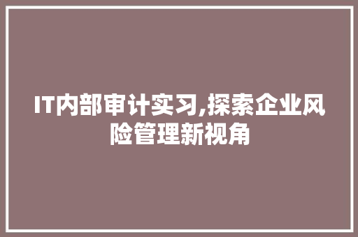 IT内部审计实习,探索企业风险管理新视角
