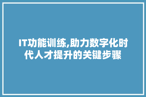 IT功能训练,助力数字化时代人才提升的关键步骤