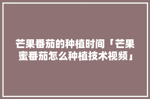 芒果番茄的种植时间「芒果蜜番茄怎么种植技术视频」 芒果番茄的种植时间「芒果蜜番茄怎么种植技术视频」 植物种类