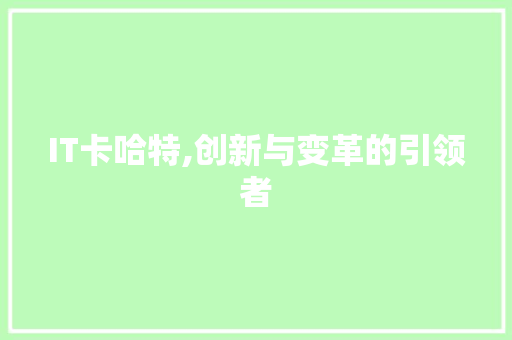 IT卡哈特,创新与变革的引领者