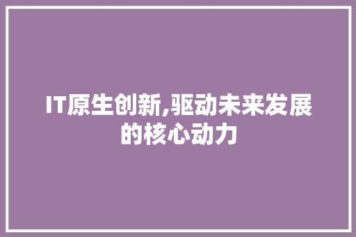 IT原生创新,驱动未来发展的核心动力