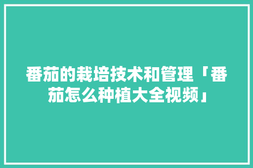 番茄的栽培技术和管理「番茄怎么种植大全视频」 番茄的栽培技术和管理「番茄怎么种植大全视频」 植物种类