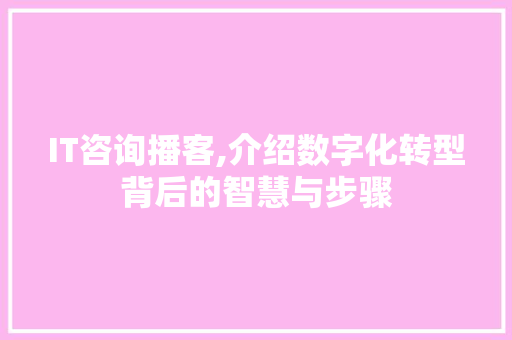 IT咨询播客,介绍数字化转型背后的智慧与步骤