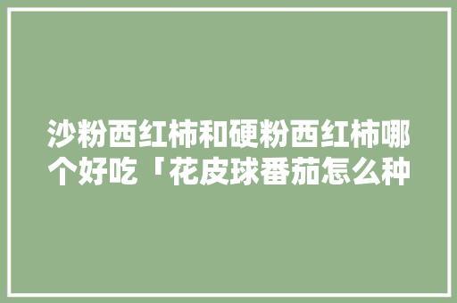 沙粉西红柿和硬粉西红柿哪个好吃「花皮球番茄怎么种植视频」 沙粉西红柿和硬粉西红柿哪个好吃「花皮球番茄怎么种植视频」 番茄病虫害防治