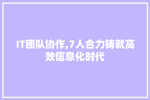 IT团队协作,7人合力铸就高效信息化时代