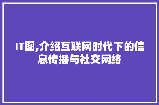 IT图,介绍互联网时代下的信息传播与社交网络
