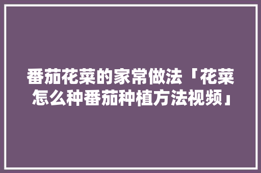 番茄花菜的家常做法「花菜怎么种番茄种植方法视频」