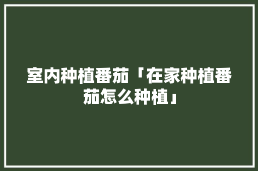 室内种植番茄「在家种植番茄怎么种植」 室内种植番茄「在家种植番茄怎么种植」 番茄病虫害防治