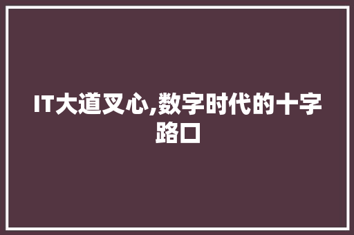 IT大道叉心,数字时代的十字路口