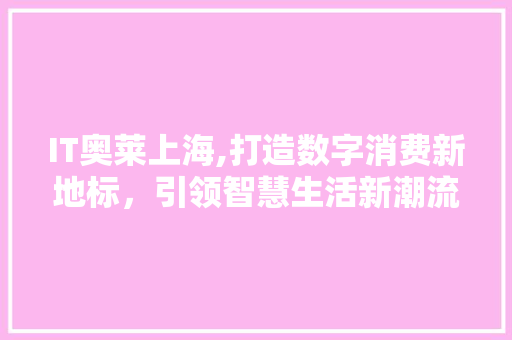 IT奥莱上海,打造数字消费新地标，引领智慧生活新潮流