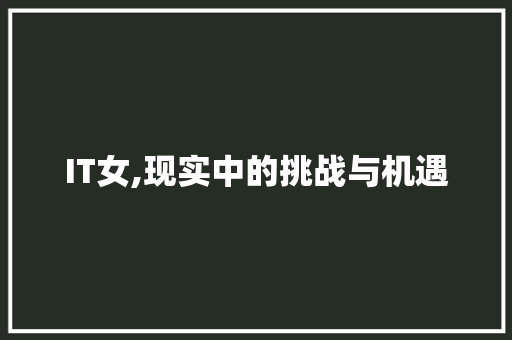 IT女,现实中的挑战与机遇