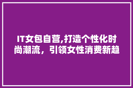 IT女包自营,打造个性化时尚潮流，引领女性消费新趋势