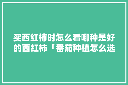 买西红柿时怎么看哪种是好的西红柿「番茄种植怎么选果实」 买西红柿时怎么看哪种是好的西红柿「番茄种植怎么选果实」 土壤施肥