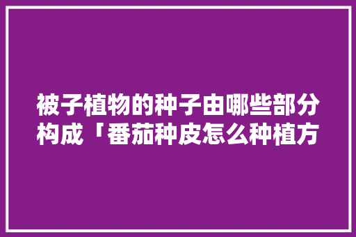 被子植物的种子由哪些部分构成「番茄种皮怎么种植方法视频」 被子植物的种子由哪些部分构成「番茄种皮怎么种植方法视频」 土壤施肥
