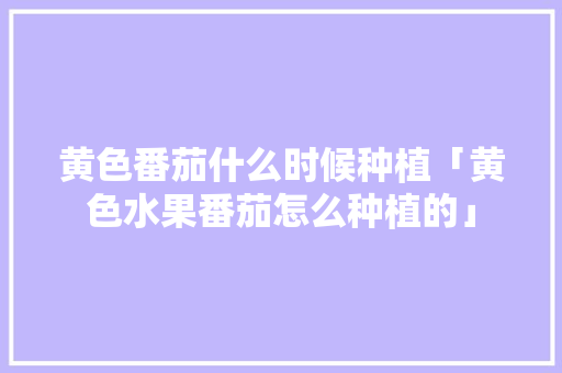 黄色番茄什么时候种植「黄色水果番茄怎么种植的」 黄色番茄什么时候种植「黄色水果番茄怎么种植的」 农业常识