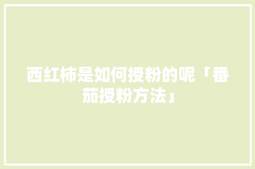 西红柿是如何授粉的呢「番茄授粉方法」