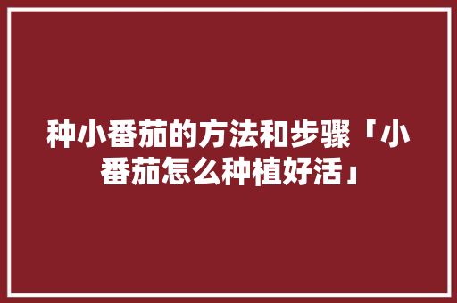 种小番茄的方法和步骤「小番茄怎么种植好活」 种小番茄的方法和步骤「小番茄怎么种植好活」 农业常识