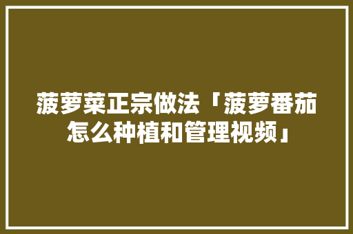 菠萝菜正宗做法「菠萝番茄怎么种植和管理视频」
