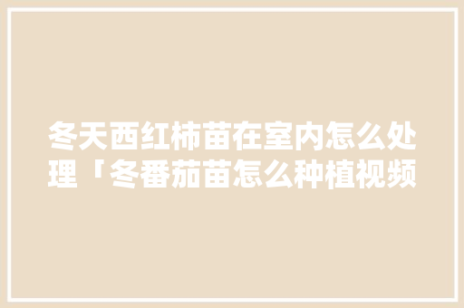 冬天西红柿苗在室内怎么处理「冬番茄苗怎么种植视频」 冬天西红柿苗在室内怎么处理「冬番茄苗怎么种植视频」 番茄病虫害防治