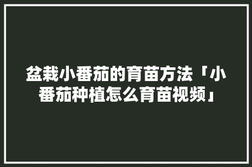 盆栽小番茄的育苗方法「小番茄种植怎么育苗视频」 盆栽小番茄的育苗方法「小番茄种植怎么育苗视频」 花朵知识
