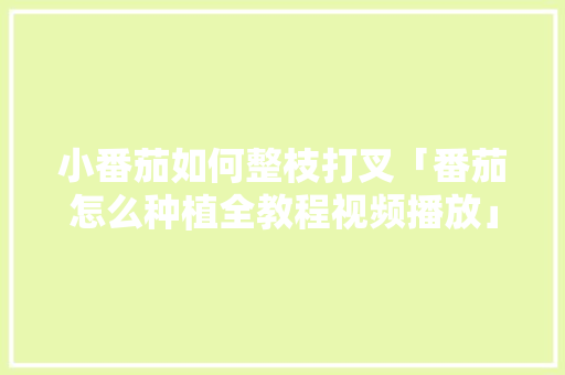 小番茄如何整枝打叉「番茄怎么种植全教程视频播放」 小番茄如何整枝打叉「番茄怎么种植全教程视频播放」 农业常识