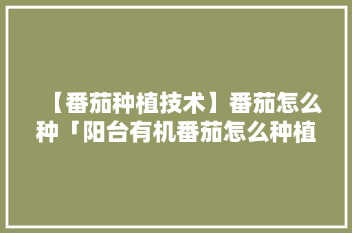 【番茄种植技术】番茄怎么种「阳台有机番茄怎么种植的视频」 【番茄种植技术】番茄怎么种「阳台有机番茄怎么种植的视频」 土壤施肥