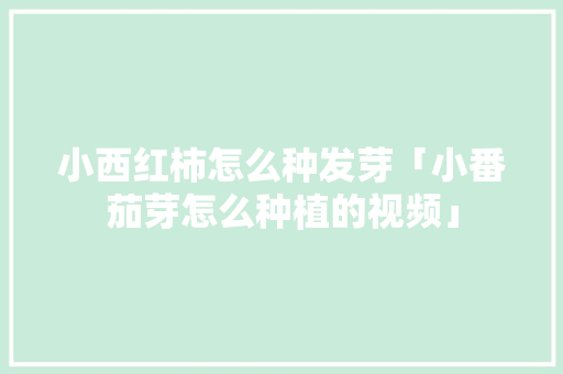 小西红柿怎么种发芽「小番茄芽怎么种植的视频」 小西红柿怎么种发芽「小番茄芽怎么种植的视频」 种植技巧