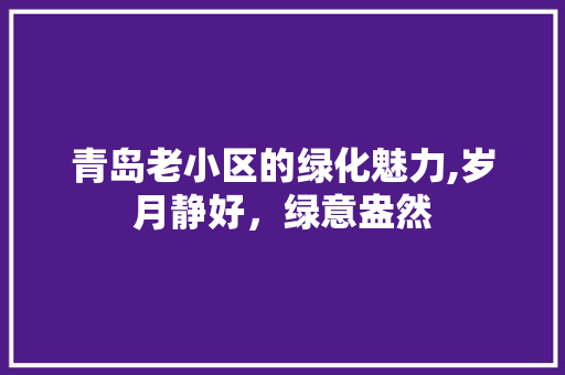 青岛老小区的绿化魅力,岁月静好，绿意盎然