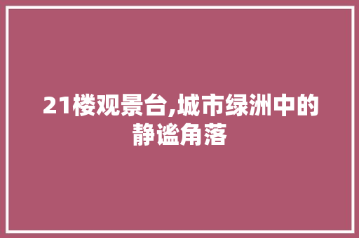 21楼观景台,城市绿洲中的静谧角落