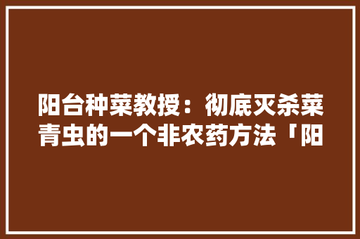 阳台种菜教授：彻底灭杀菜青虫的一个非农药方法「阳台怎么刷」 阳台种菜教授：彻底灭杀菜青虫的一个非农药方法「阳台怎么刷」 农业常识