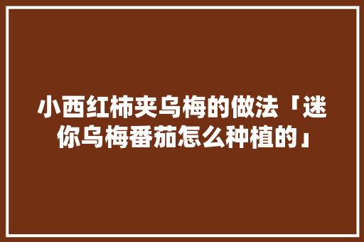 小西红柿夹乌梅的做法「迷你乌梅番茄怎么种植的」