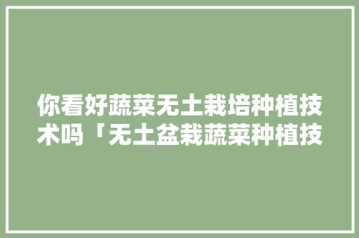 你看好蔬菜无土栽培种植技术吗「无土盆栽蔬菜种植技巧视频」 你看好蔬菜无土栽培种植技术吗「无土盆栽蔬菜种植技巧视频」 植物种类