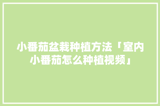 小番茄盆栽种植方法「室内小番茄怎么种植视频」 小番茄盆栽种植方法「室内小番茄怎么种植视频」 农业常识