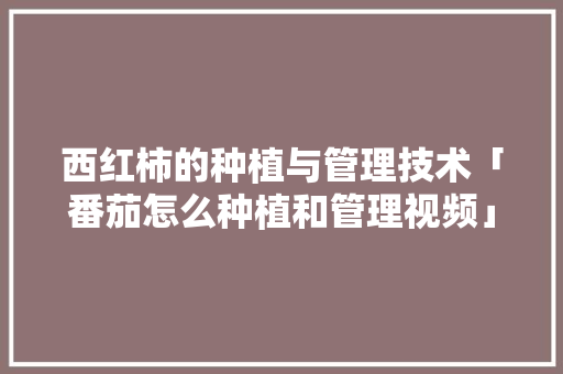 西红柿的种植与管理技术「番茄怎么种植和管理视频」 西红柿的种植与管理技术「番茄怎么种植和管理视频」 种植技巧