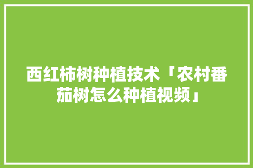 西红柿树种植技术「农村番茄树怎么种植视频」 西红柿树种植技术「农村番茄树怎么种植视频」 种植技巧