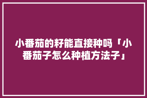 小番茄的籽能直接种吗「小番茄子怎么种植方法子」 小番茄的籽能直接种吗「小番茄子怎么种植方法子」 植物种类
