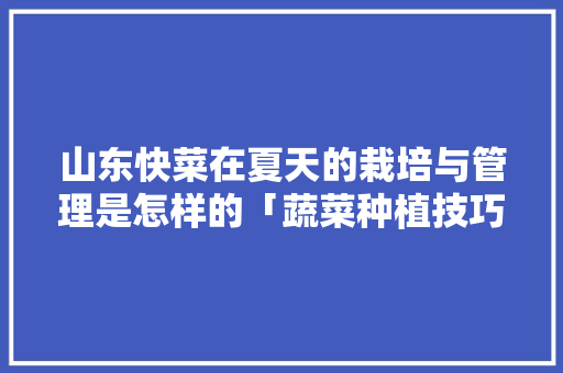 山东快菜在夏天的栽培与管理是怎样的「蔬菜种植技巧夏天可以种吗」 山东快菜在夏天的栽培与管理是怎样的「蔬菜种植技巧夏天可以种吗」 土壤施肥