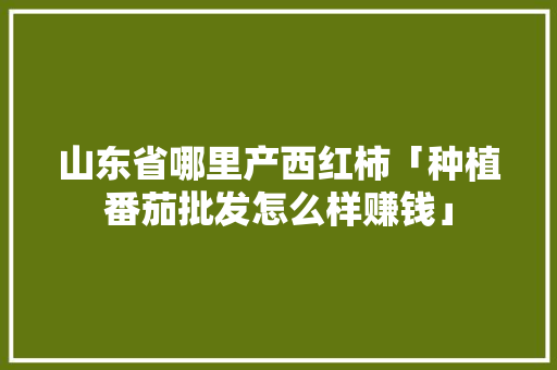 山东省哪里产西红柿「种植番茄批发怎么样赚钱」 山东省哪里产西红柿「种植番茄批发怎么样赚钱」 农业常识