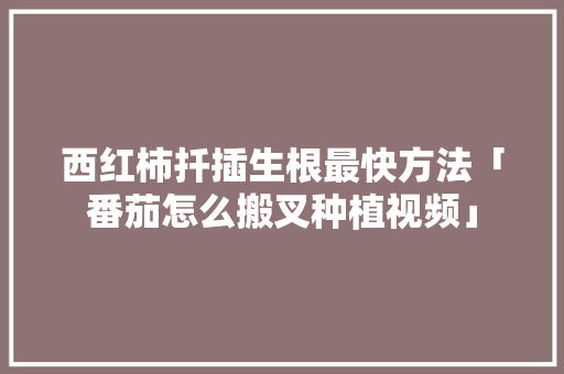 西红柿扦插生根最快方法「番茄怎么搬叉种植视频」 西红柿扦插生根最快方法「番茄怎么搬叉种植视频」 种植技巧