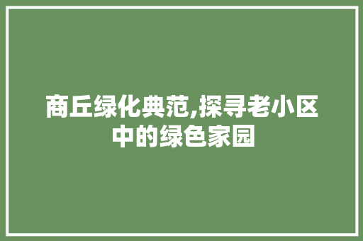 商丘绿化典范,探寻老小区中的绿色家园