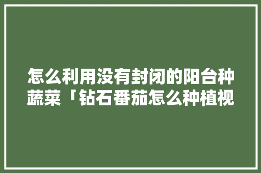 怎么利用没有封闭的阳台种蔬菜「钻石番茄怎么种植视频教程」 怎么利用没有封闭的阳台种蔬菜「钻石番茄怎么种植视频教程」 种植技巧