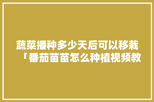 蔬菜播种多少天后可以移栽「番茄苗苗怎么种植视频教程」 蔬菜播种多少天后可以移栽「番茄苗苗怎么种植视频教程」 番茄病虫害防治